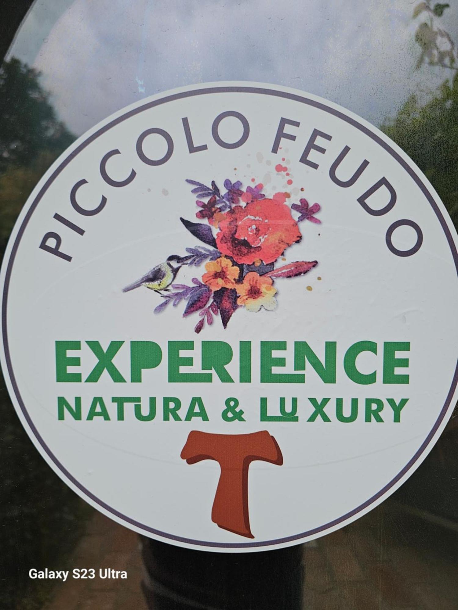 فِتيربو Piccolo Feudo Green Resort (Adults Only) الغرفة الصورة